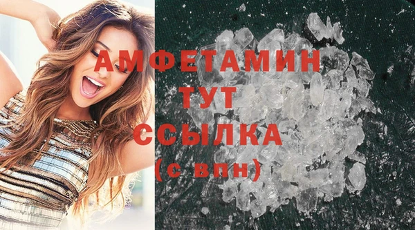 дживик Мегион